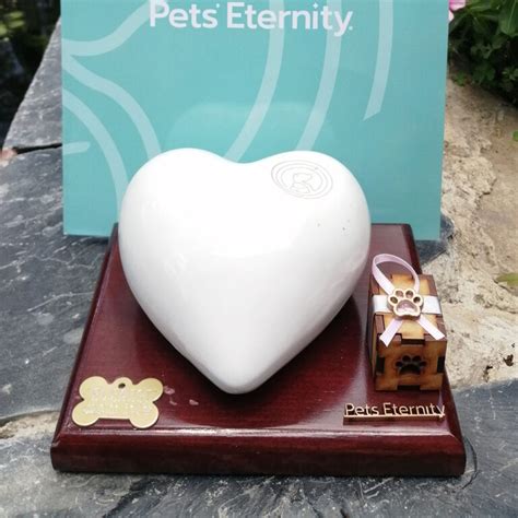 pet cremation baguio|PetEterniTy .